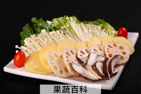 狗肉火锅的做法