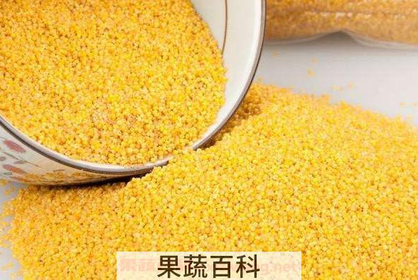 粟米与黍米的区别 粟米的功效