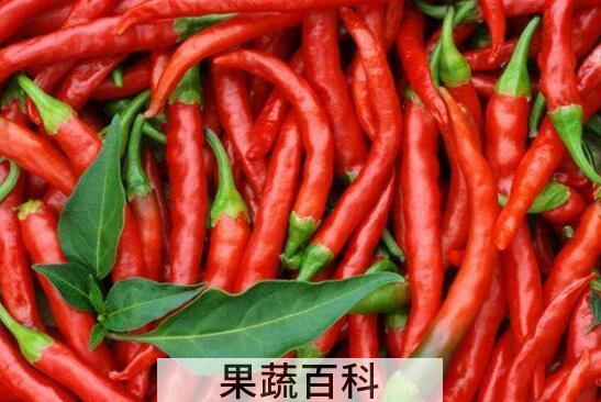 长期不吃辣椒的好处