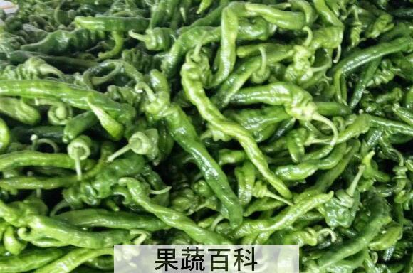 吃螺丝椒的好处和坏处