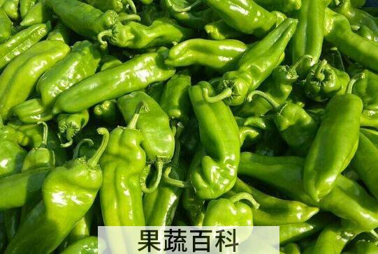 吃螺丝椒的好处和坏处