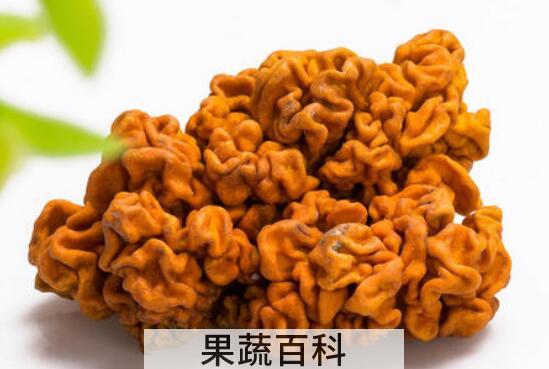 金木耳怎么种植 金木耳的种植技术