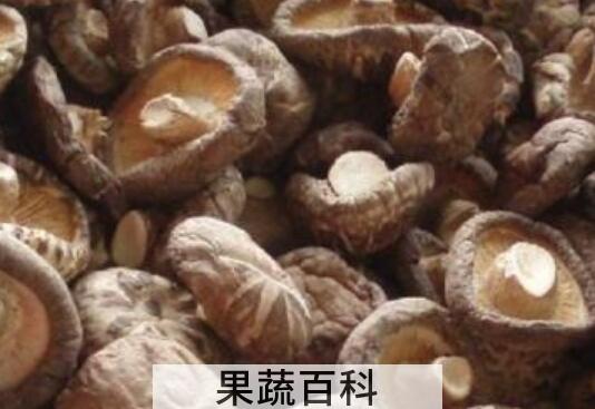 香菇与口磨的区别