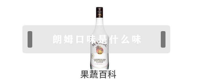 朗姆口味是什么味