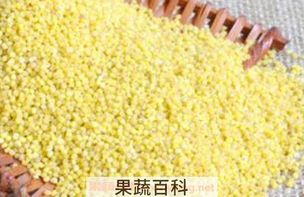 黍米怎么做好吃 黍米的吃法