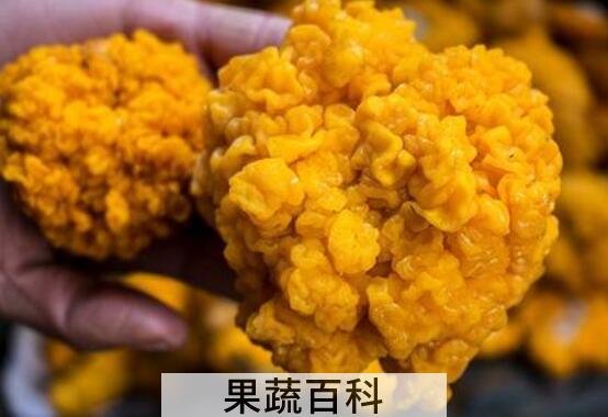 黄金耳的功效与食用方法