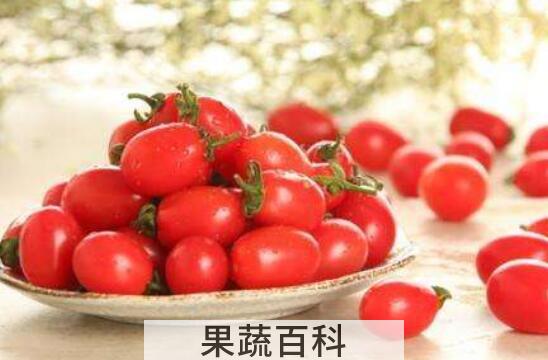 生吃小番茄的功效与作用