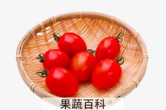 生吃小番茄的功效与作用