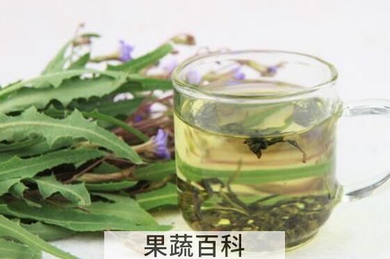 苦菜茶怎么做 苦菜茶的制作方法