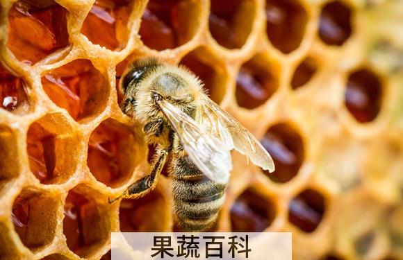 蜂胶