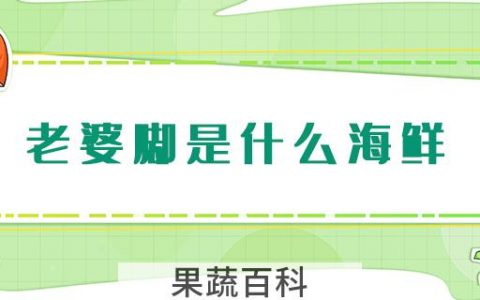 老婆脚是什么海鲜