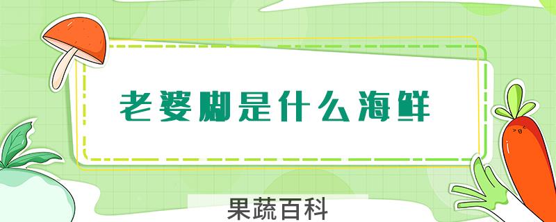 老婆脚是什么海鲜