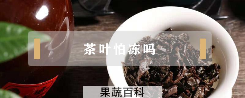 茶叶怕冻吗