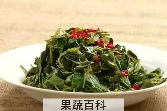怎样腌香椿芽好吃