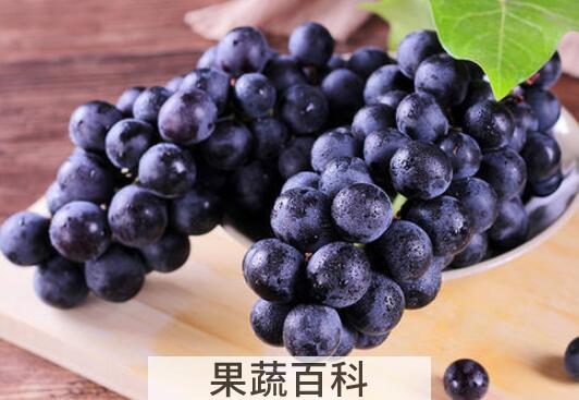 黑加仑和葡萄的区别