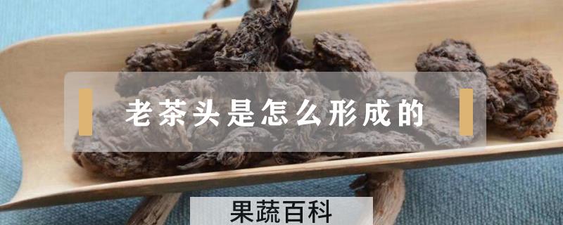 老茶头是怎么形成的
