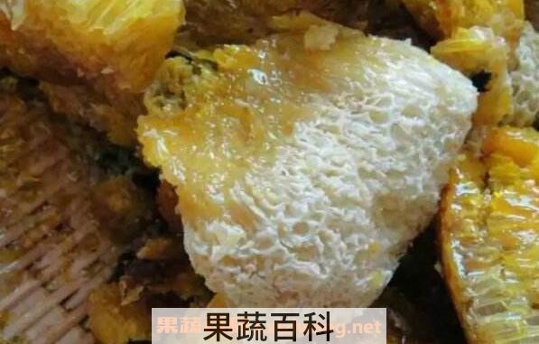 岩蜂蜜和土蜂蜜的区别 土蜂蜜的功效