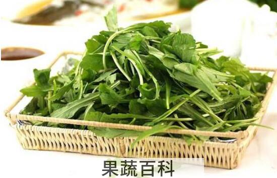 吃荠菜有什么好处和坏处
