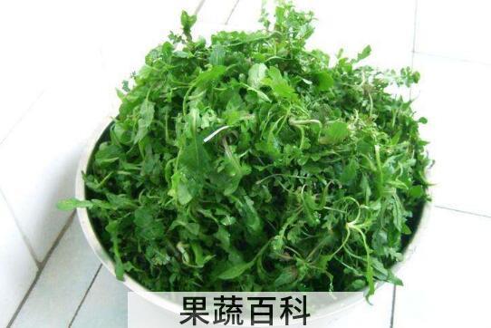 吃荠菜有什么好处和坏处