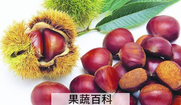 怎么判断板栗药水泡过