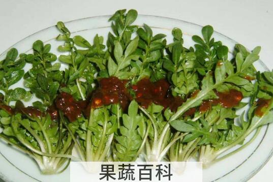什么人不能吃荠菜 吃荠菜的禁忌
