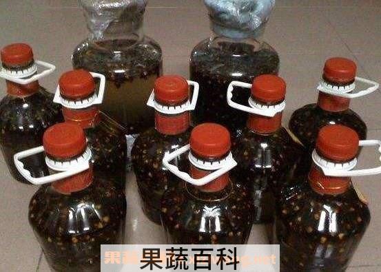 黄蜂泡酒
