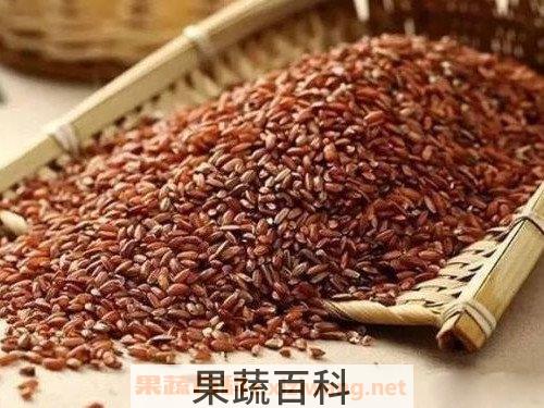 红糯米