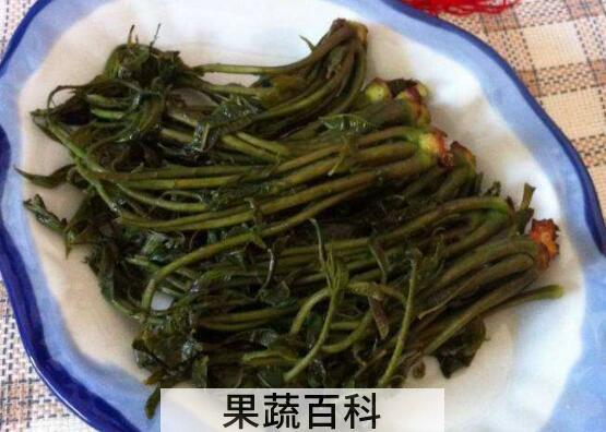 春芽咸菜的腌制方法窍门