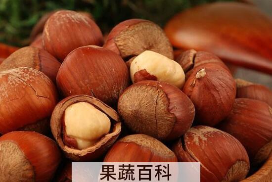 生榛子的功效与作用 新鲜榛子怎么吃