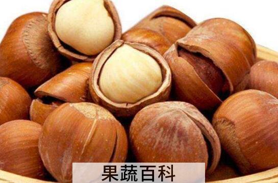 生榛子的功效与作用 新鲜榛子怎么吃