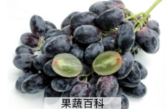 女人吃黑加仑的好处