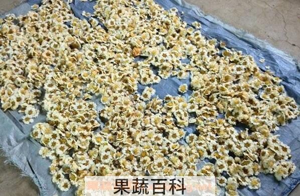 猕猴桃花粉怎么采取 猕猴桃花粉如何使用