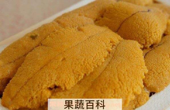 海胆黄怎么吃 海胆黄罐头怎么吃
