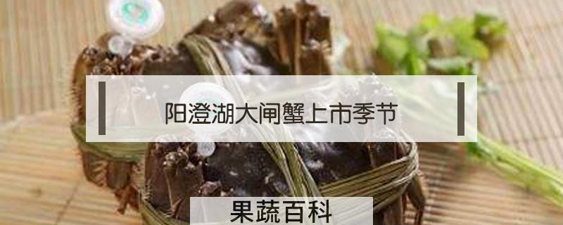 阳澄湖大闸蟹上市季节