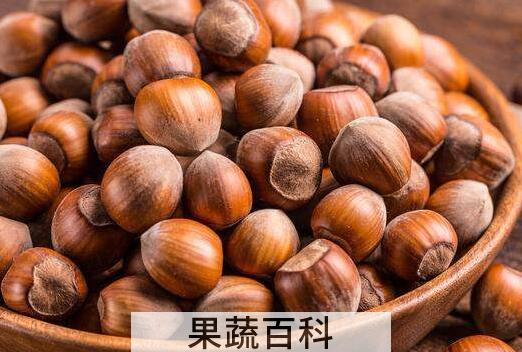 女人吃榛子有什么好处