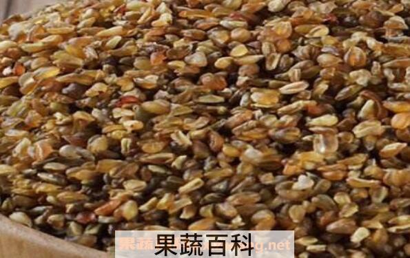 苦荞麦怎么吃最好 苦荞麦的吃法大全