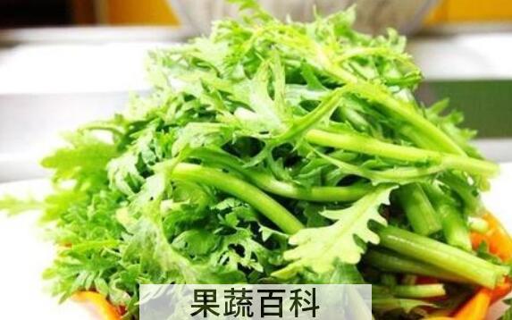 野蒿菜怎么做好吃 野蒿菜的家常做法大全