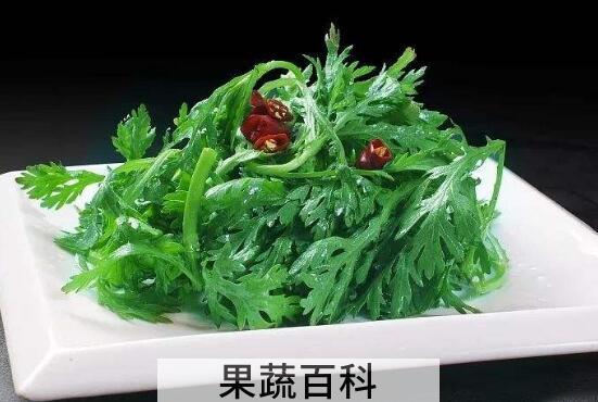 野蒿菜怎么做好吃 野蒿菜的家常做法大全
