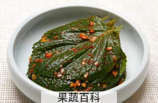 新鲜的紫苏叶怎么吃最好