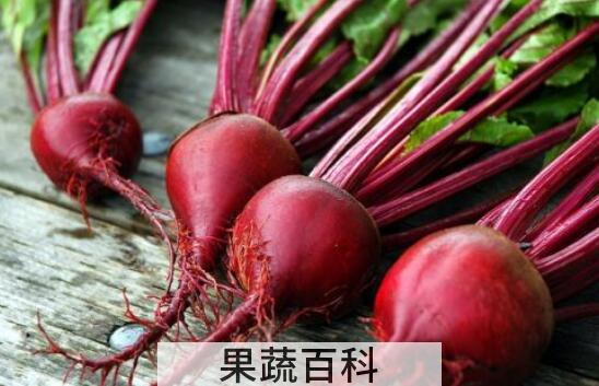 甜菜根的副作用和危害