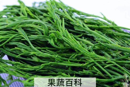 臭菜凉拌怎么做好吃窍门
