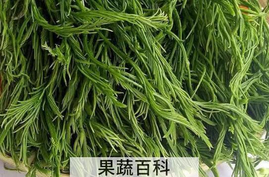 臭菜怎么吃  吃臭菜有什么好处和坏处