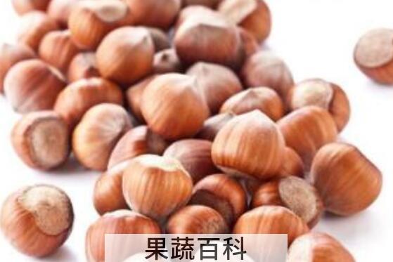 榛子怎么吃 榛子的食用方法