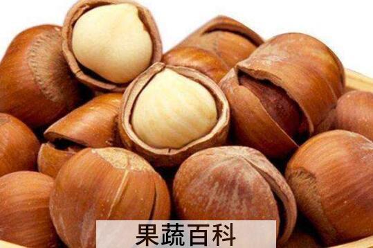 榛子的功效与作用 榛子的禁忌