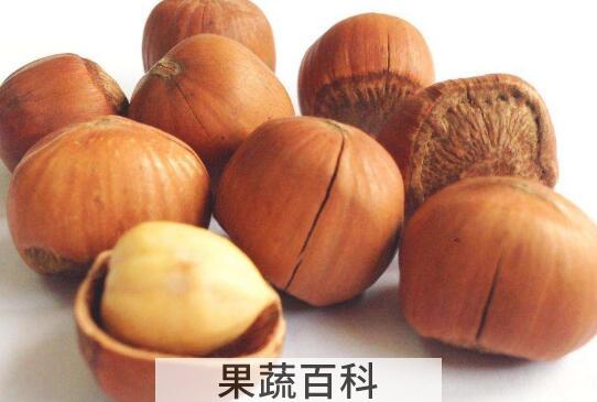 榛子的功效与作用 榛子的禁忌