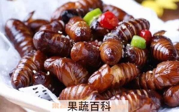 蚕蛹的功效与作用有哪些
