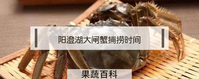 阳澄湖大闸蟹捕捞时间