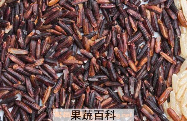 泰国红糙米怎么做好吃 东北红糙米怎么吃