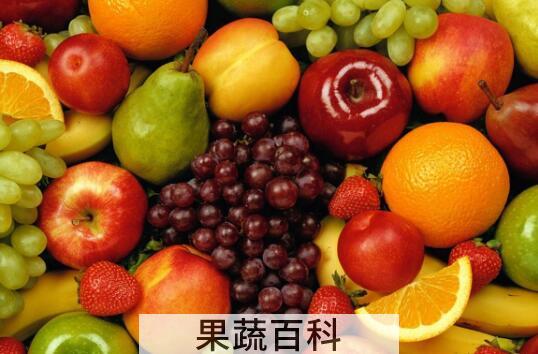 冬天有什么水果 冬天吃什么水果好