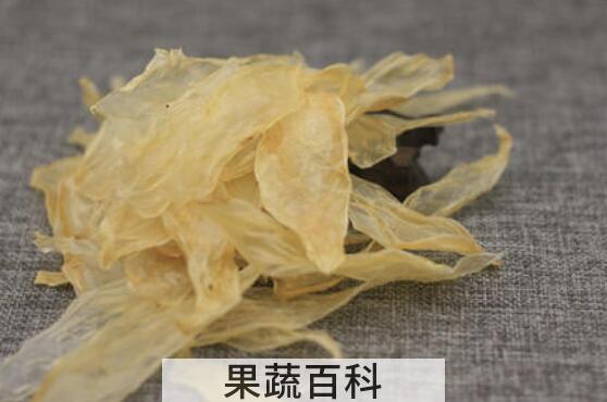 蜘蛛公鱼胶的功效与作用